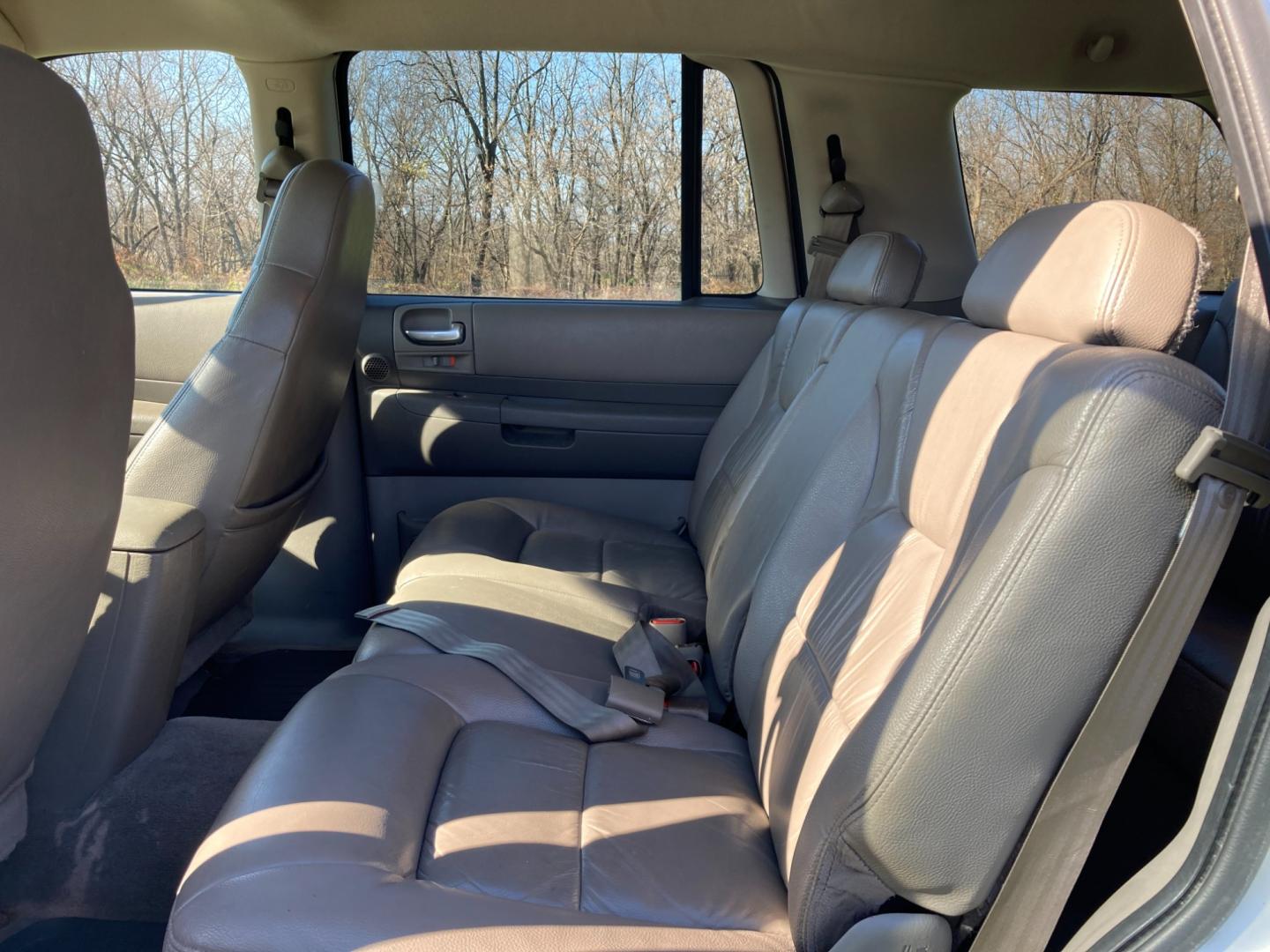 2003 Driftwood Met Dodge Durango SLT Plus 4WD (1D4HS58N73F) with an 4.7L V8 SOHC 16V engine, located at 1800 South Ihm Blvd, Freeport, IL, 61032, (815) 232-5543, 42.278645, -89.607994 - Photo#6